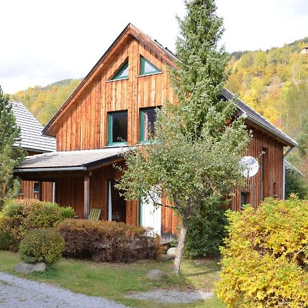 Ferienhaus Kreischberg Sankt Lorenzen ob Murau Buitenkant foto